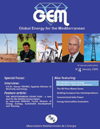 GEM 4 – January 2009