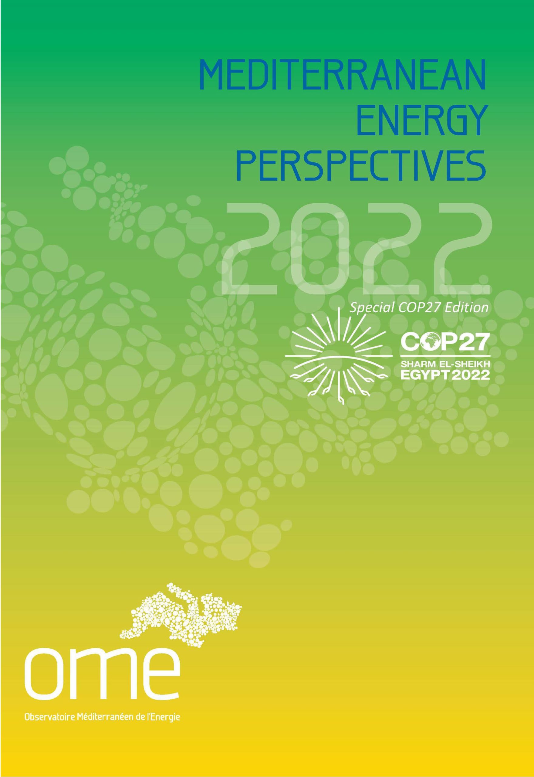 MEP 2022 – Special COP27 edition (released in December 2022)